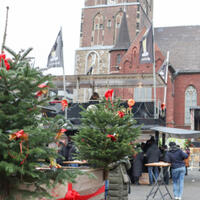Foto 1 von 1 aus der Galerie zum Filmpost-Artikel Weihnachtsmarkt-Tannenbäume: Kostenlose Mitnahme am 21. Dezember vom 19.12.2022